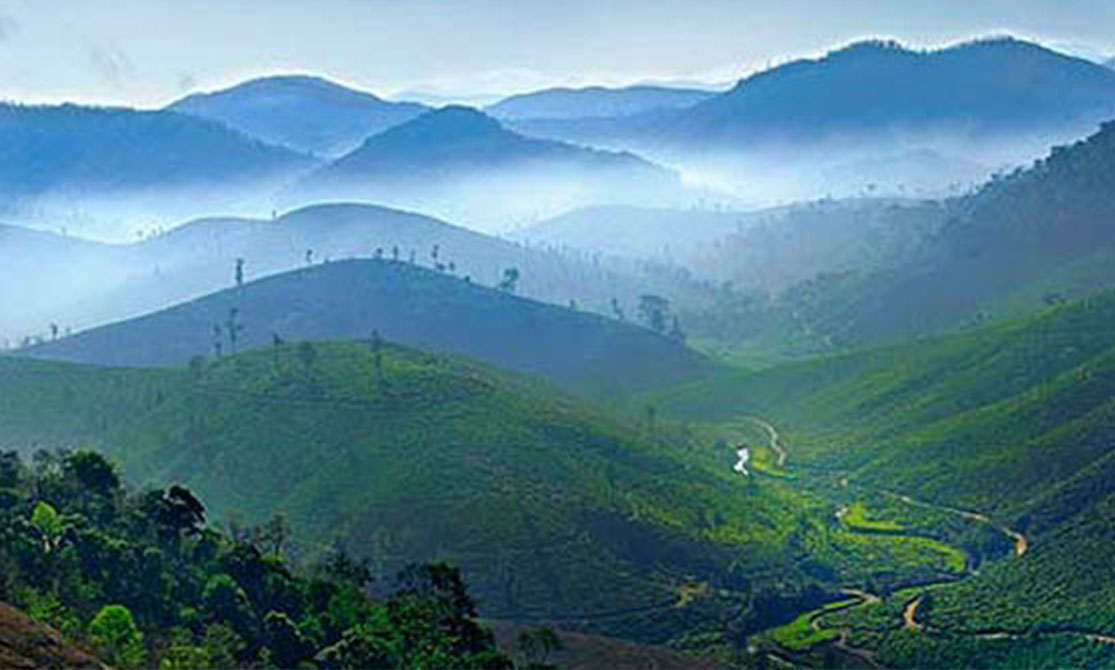 Uma aula de yoga perfeitamente atípica 